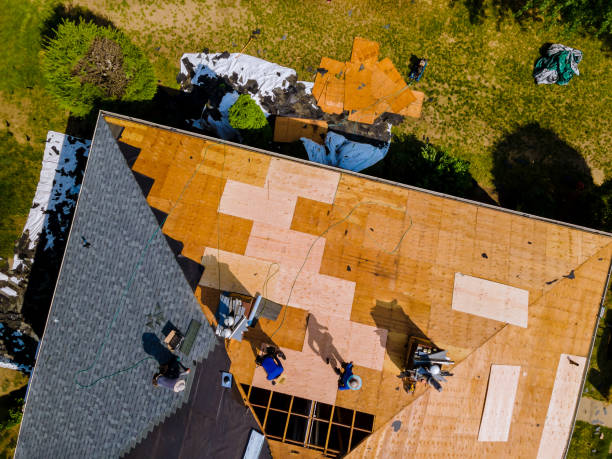 Best Residential Roofing Contractor  in Tell City, IN