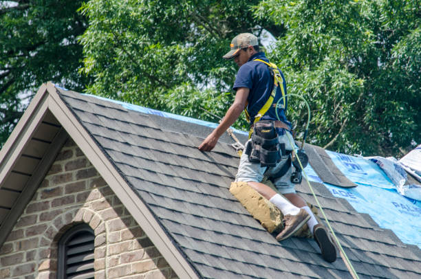 Best Roof Gutter Cleaning  in Tell City, IN
